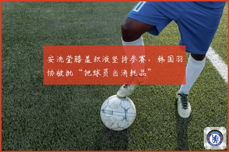 安洗莹膝盖积液坚持参赛,韩国羽协被批“把球员当消耗品”
